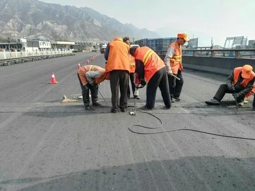 大丰道路桥梁病害治理